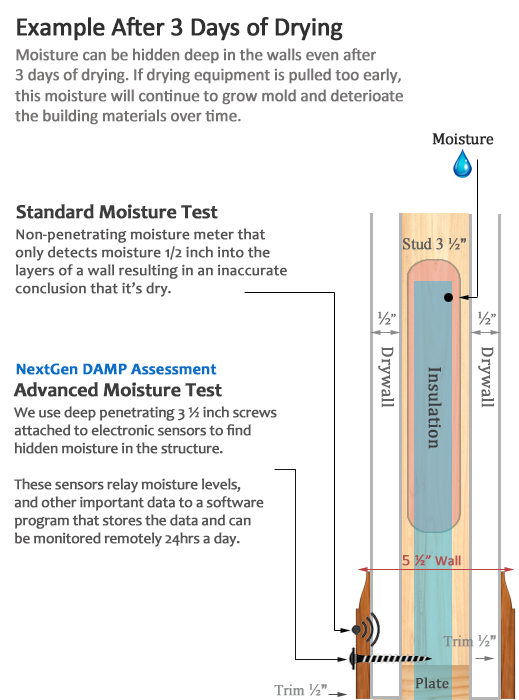 Cross Section Wall Hidden Moisture