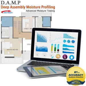 DAMP Home Moisture Testing to Prevent Mold