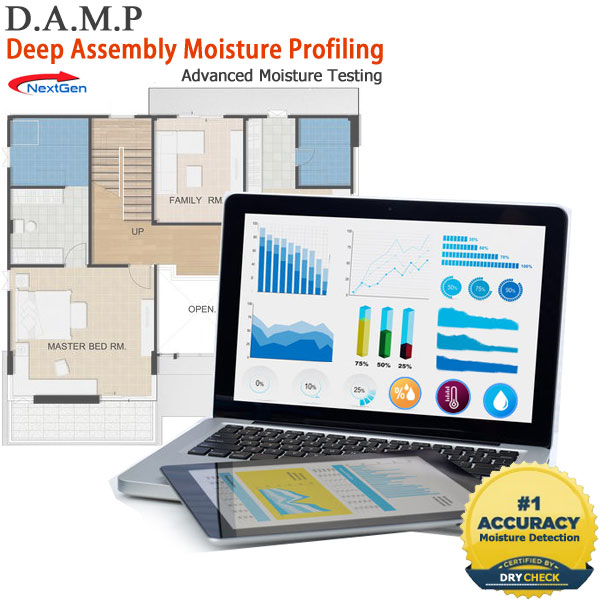 DAMP Moisture Testing to Prevent Mold