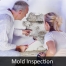 MIT Mold Inspection
