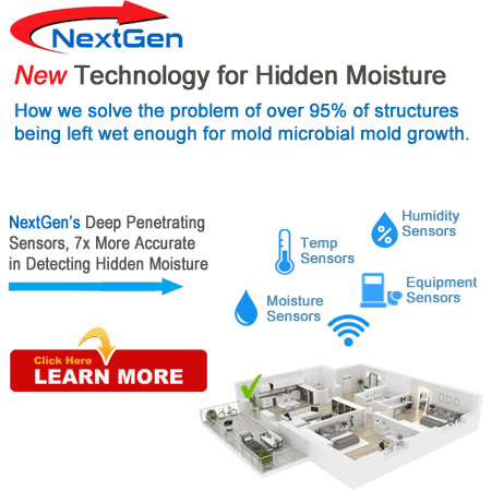 Mold Testing and Moisture