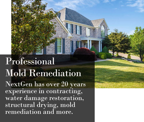 NextGen Professional Mold Remediation Company