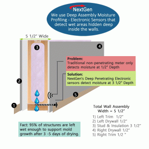 Deep Assembly Moisture Profiling Wall