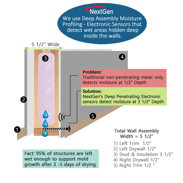 Wall MoistureTest Comparison Water Damage Tampa