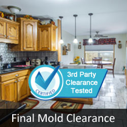 Certified Mold Free Clearance Test