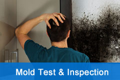 Mold Inspection and Testing