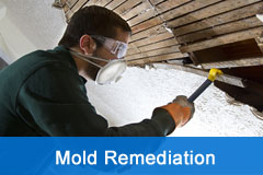 mold-remediation-demolition