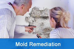 Mold Remediation Tampa