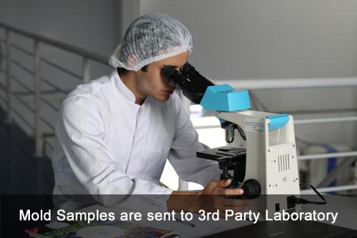 Mold Samples sent to 3rd Party Laboratory