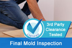 Final Mold Inspection Clearance Test