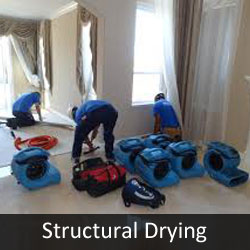 Structural Drying to Prevent Mold