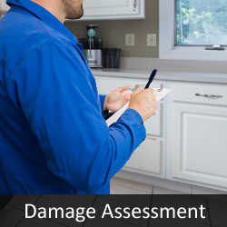 Water Damage Assessment