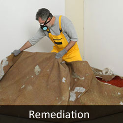 Water Damage Remediation