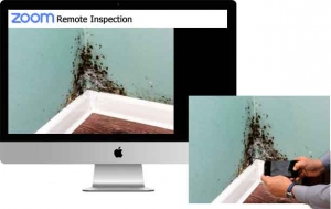 zoome remote inspection